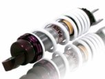 Amortisseur Malossi RS24