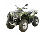 quads