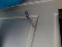 post-91-0-28909900-1327763570_thumb.jpg