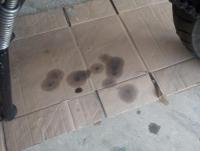 post-519-0-99786500-1334075339_thumb.jpg