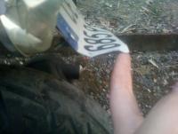 post-4520-0-78076500-1343295666_thumb.jp