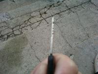 post-4520-0-60381000-1344281574_thumb.jp