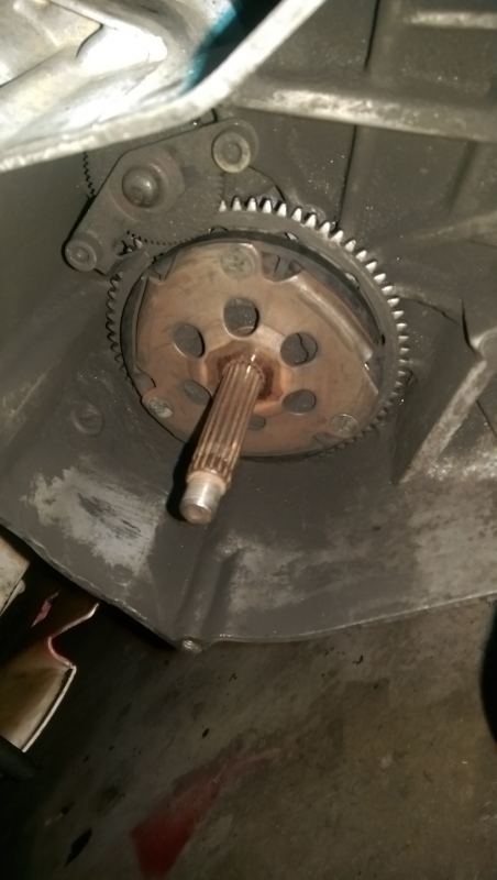 IMAG0074.jpg