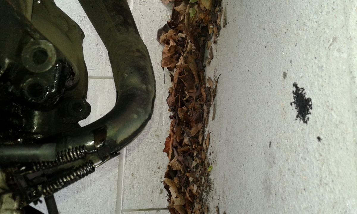 20160116_151632.jpg