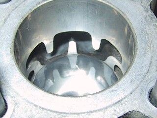 polinig2open.jpg.7c88b992e2c59de24648689