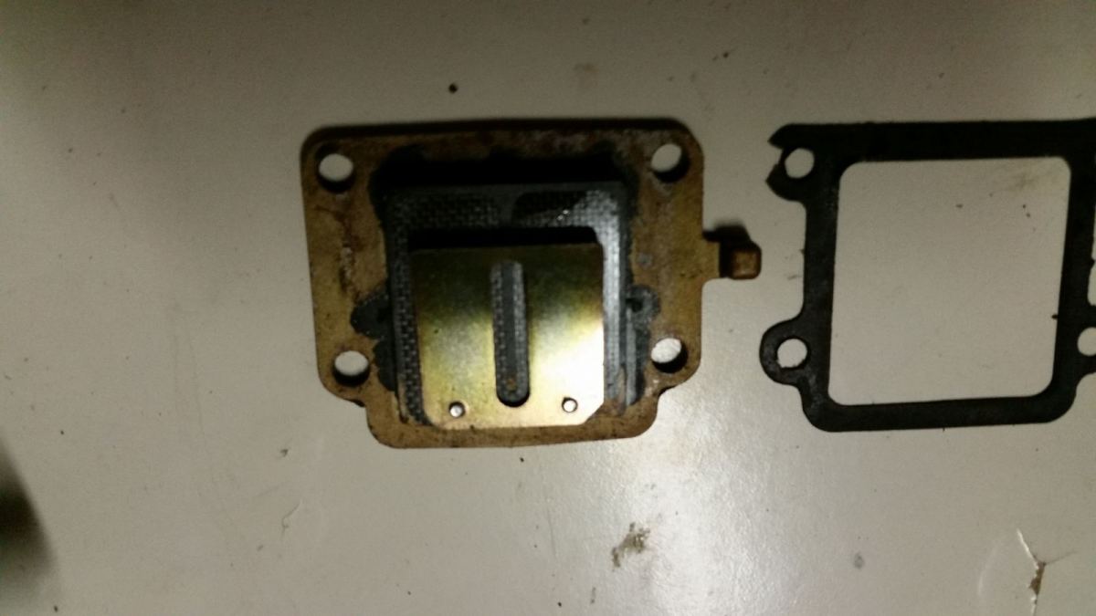 20160308_194538.jpg