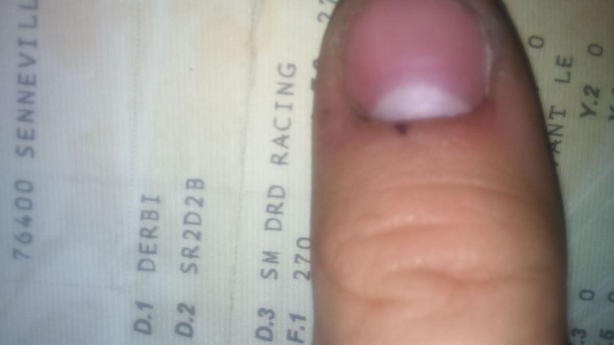 DSC_0047.thumb.JPG.c941207214d3cd86643a2