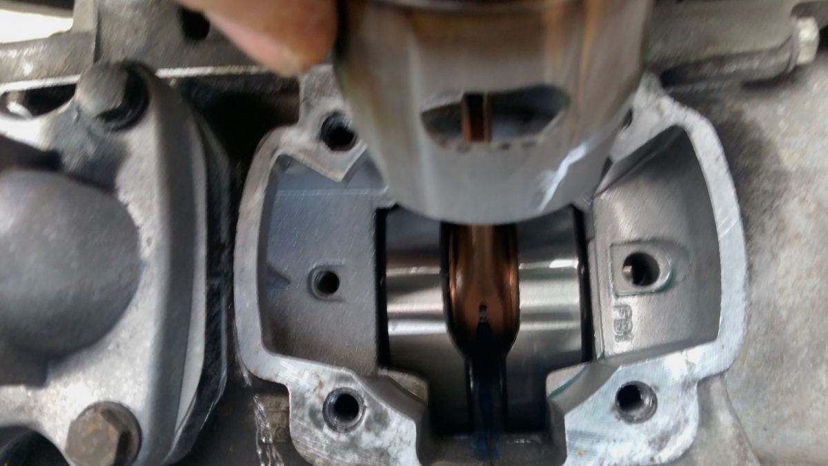 20160402_100107.jpg