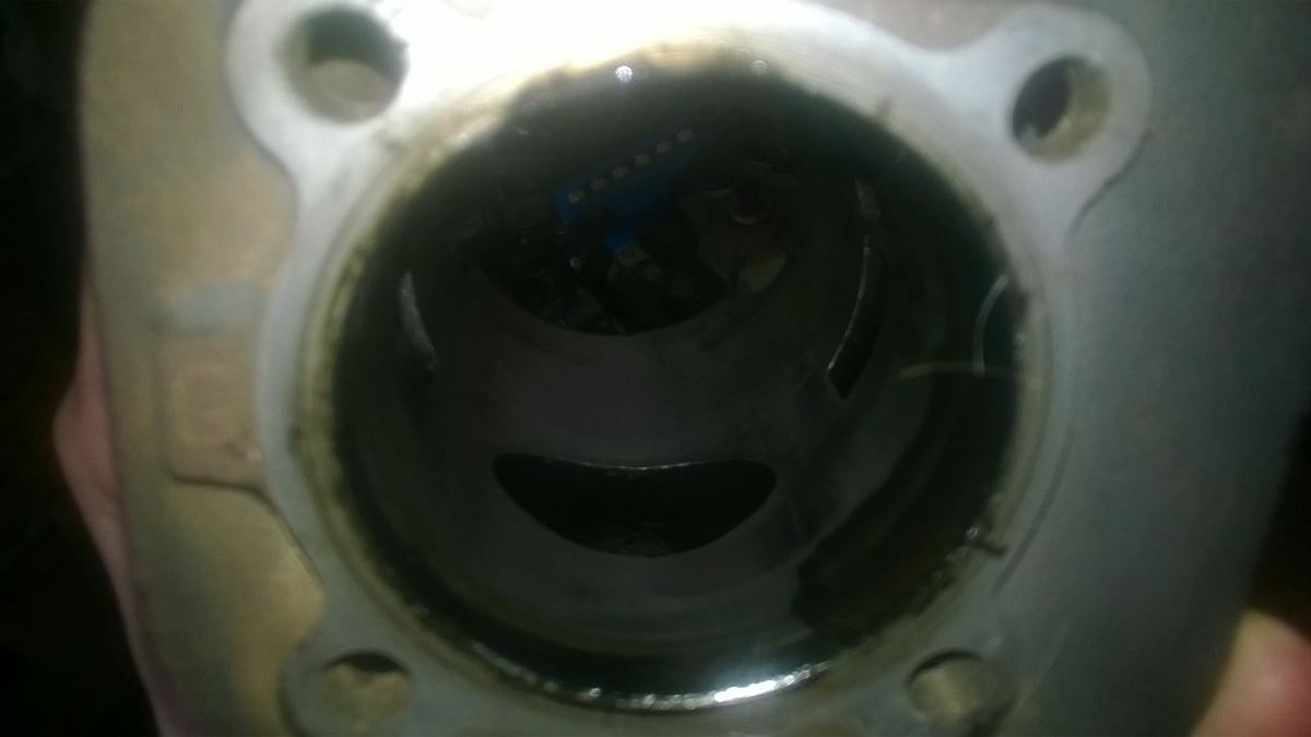 WP_20160514_003.jpg