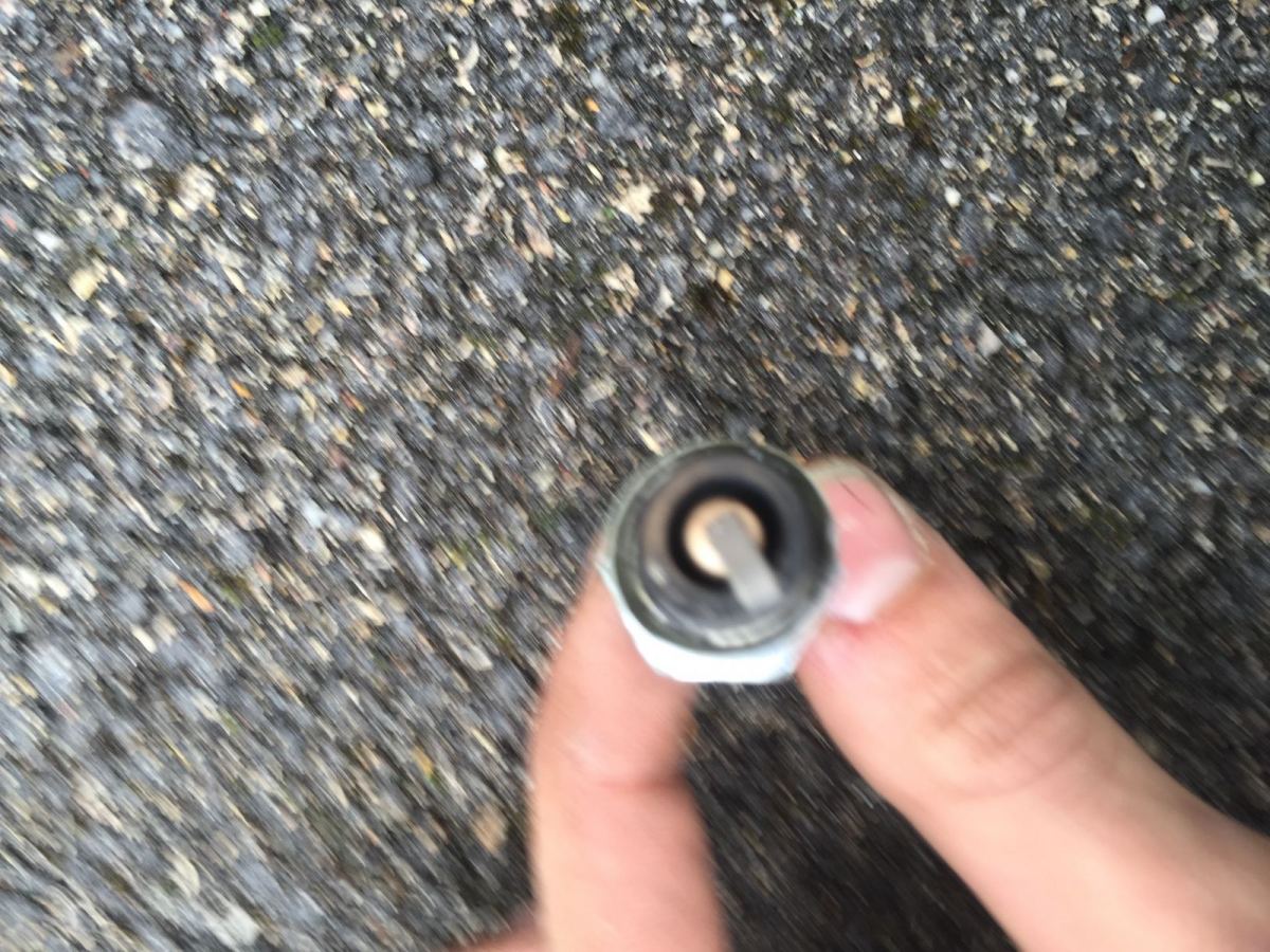 image.jpeg