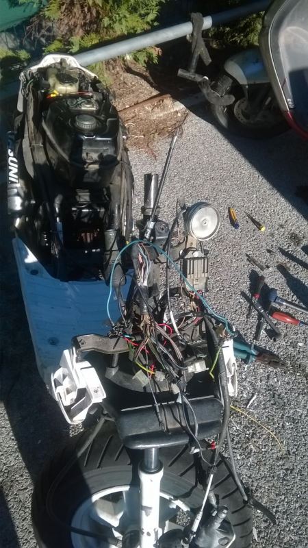 WP_20151127_005.jpg