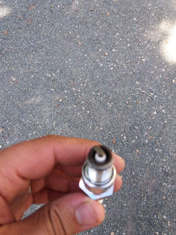 20170717_175532.jpg