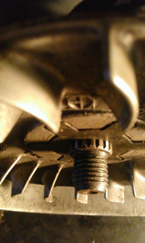 WP_20180330_013.jpg