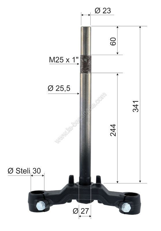 te-de-fourche-mbk-booster-aerox-50-yamaha-bw-s.jpg.3395838c37e23440bebb801dc5ad9d8c.jpg