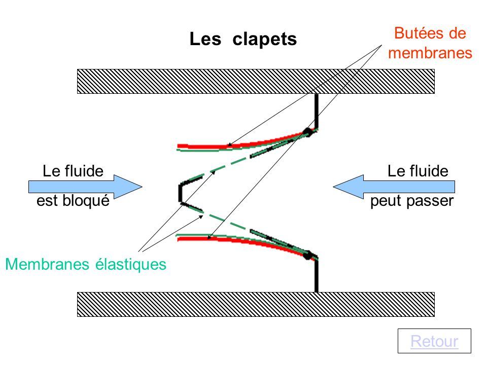 100826013_LesclapetsButesdemembranesLefluideestbloquLefluide.jpg.8d664de249b2eb14897da15b54794fbe.jpg