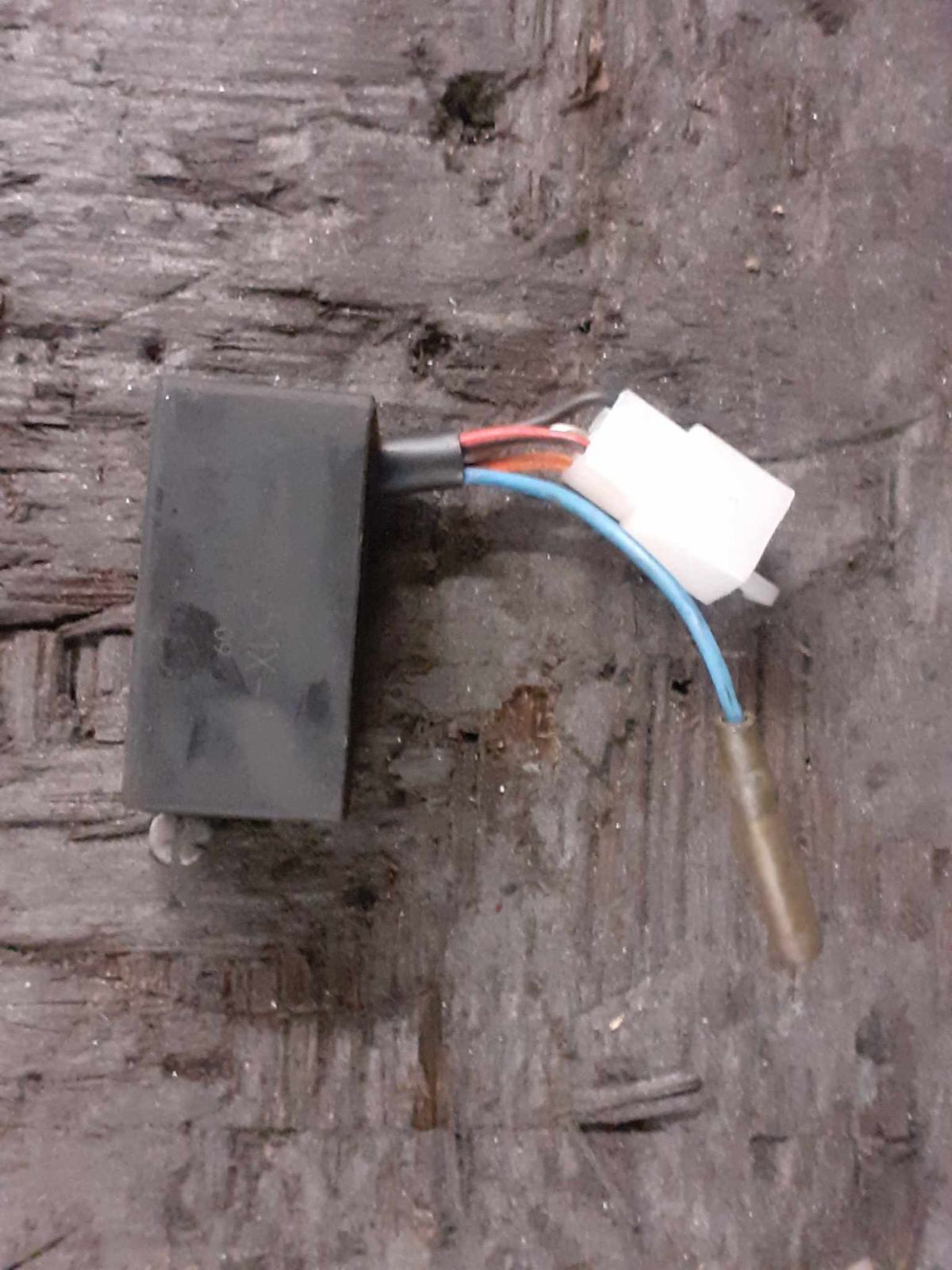 Photo7.jpg